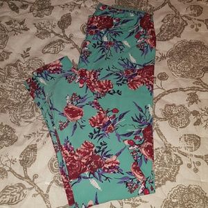 LuLaRoe TC leggings
